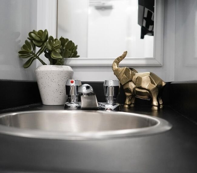 Stylish sink and vanity inside a luxury restroom trailer with decorative plant and gold elephant accent for upscale events.